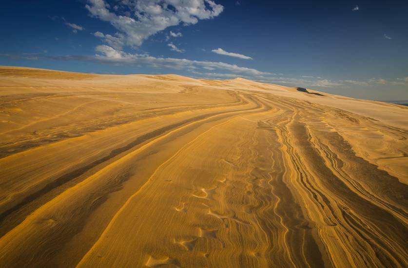 Photo - Dune du Pilat - Dune du Pilat #75